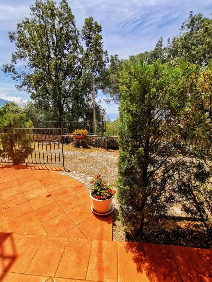 Il Casalino Apartment Maratea Ngoại thất bức ảnh