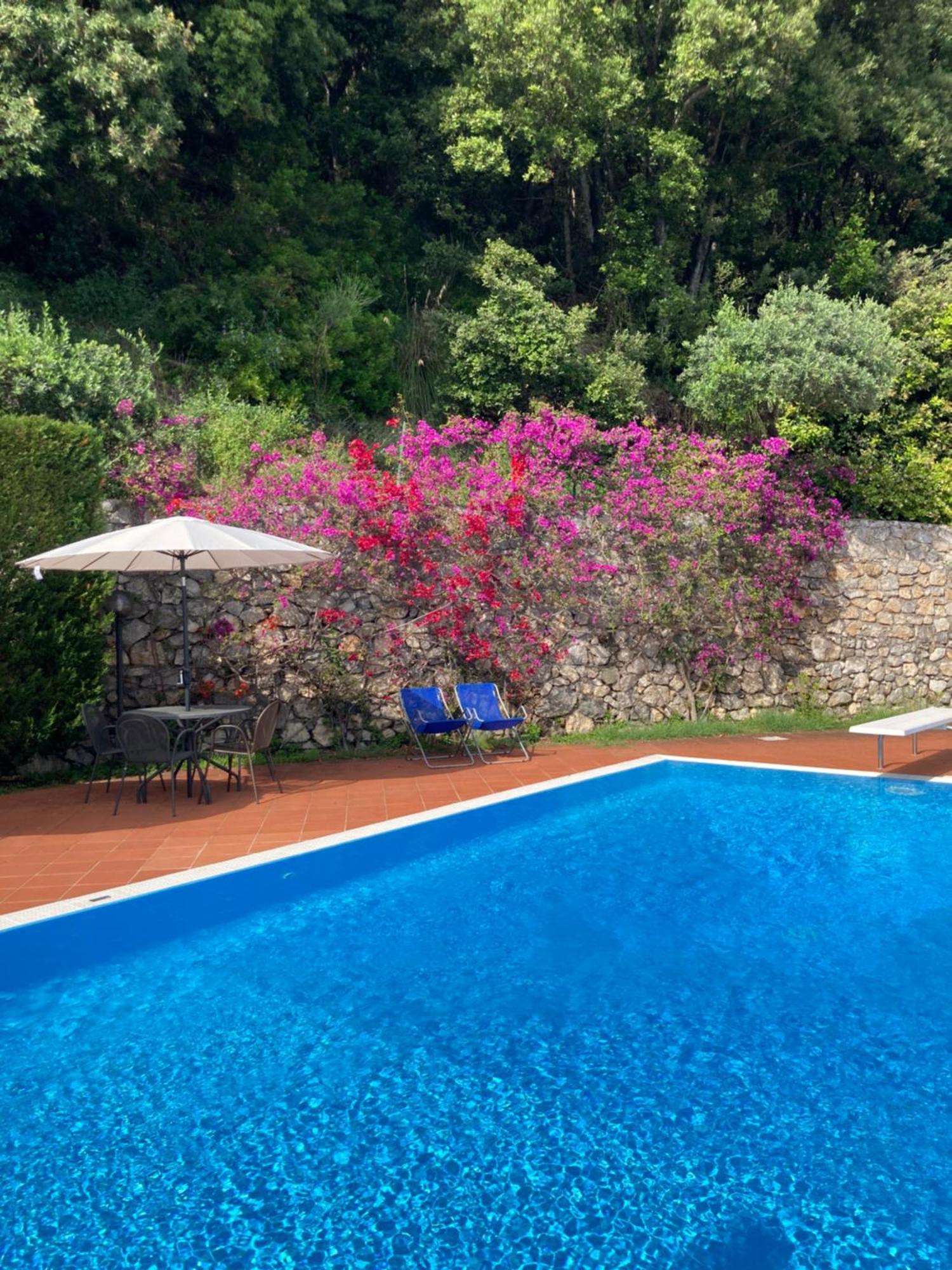 Il Casalino Apartment Maratea Ngoại thất bức ảnh